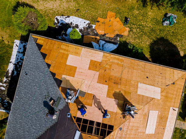 Best Roof Repair Services  in Stoughton, WI
